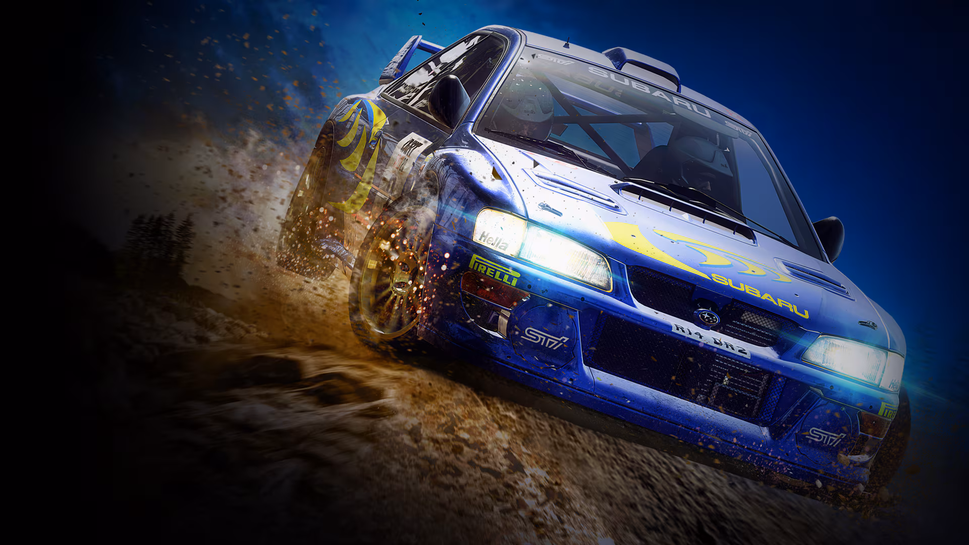 Rally Driver